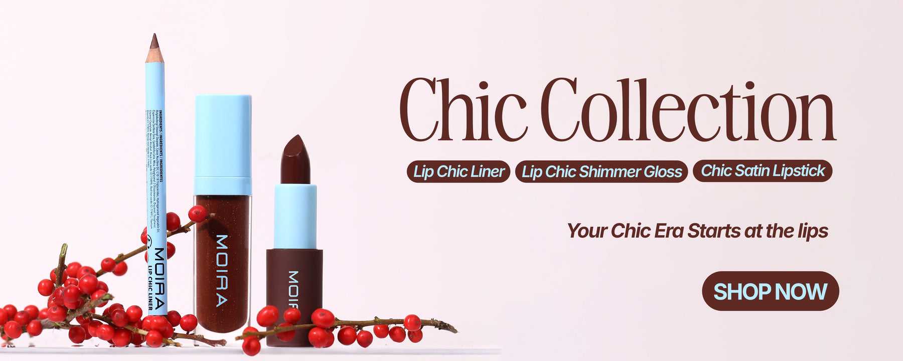 Chic banner copy 3f553694 1b74 4b64 99dc 09ee79c13946