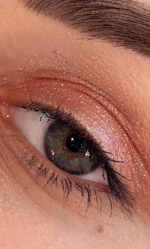 DM 20251203183556 001