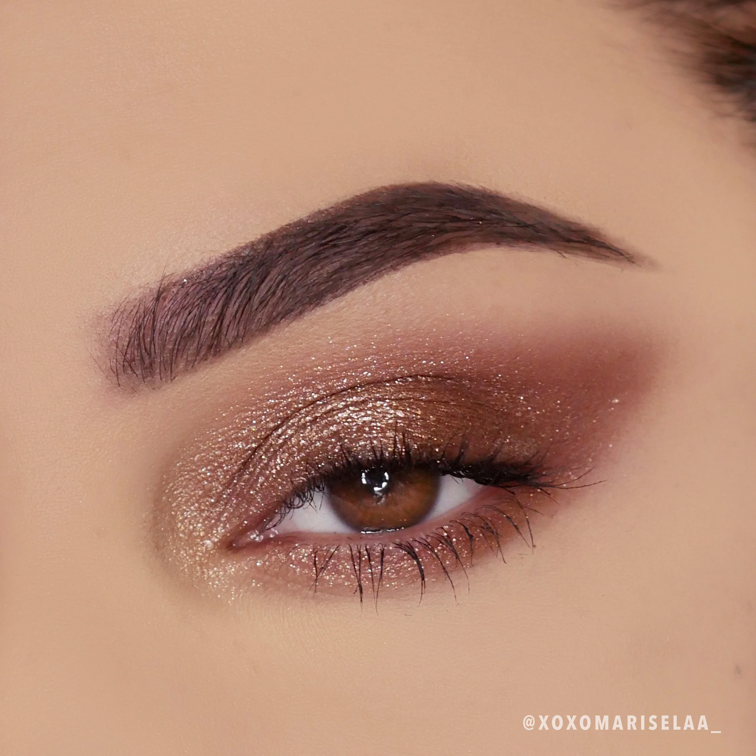 Starshow Shadow Pot (005, Muse)