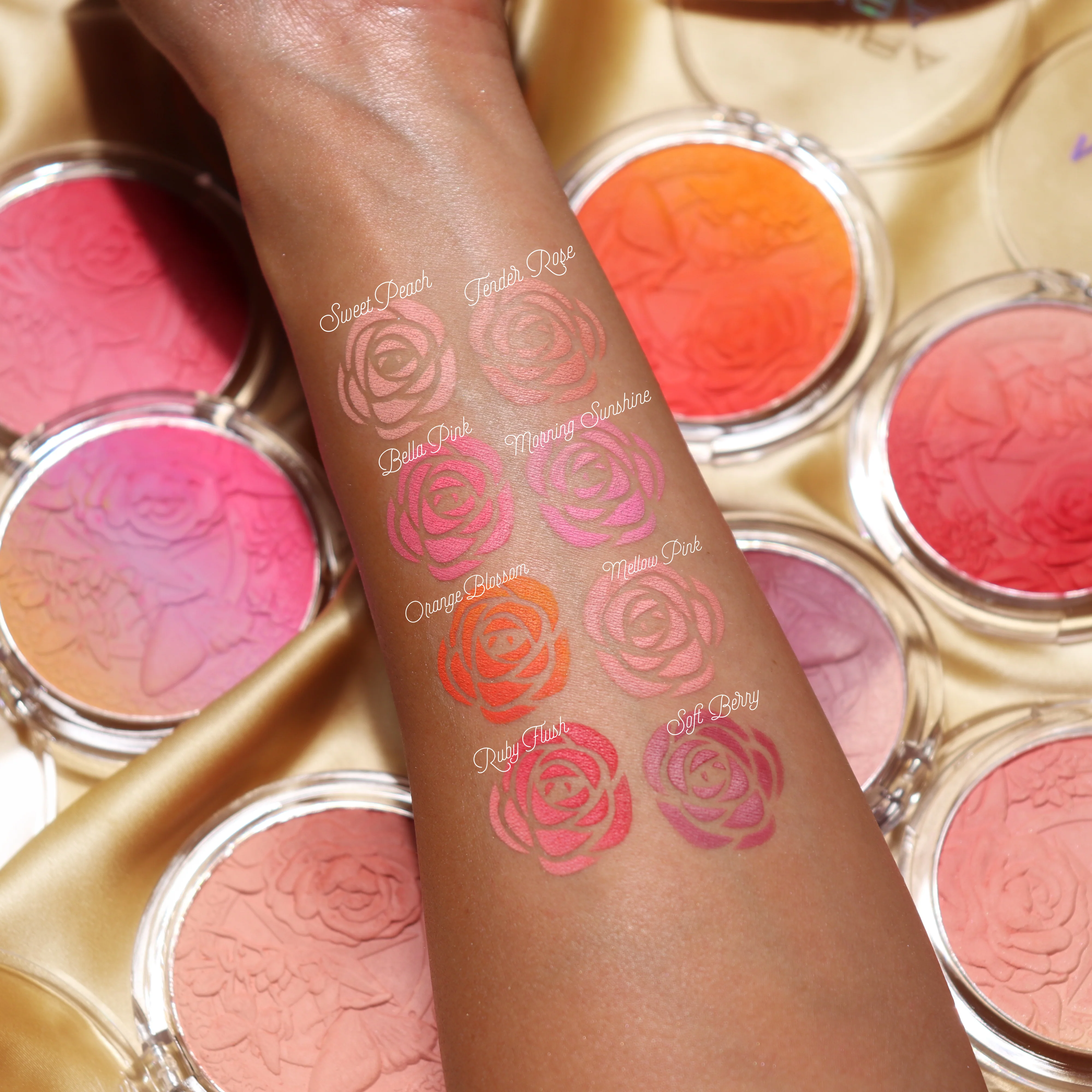 Signature Ombre Blush Bundle