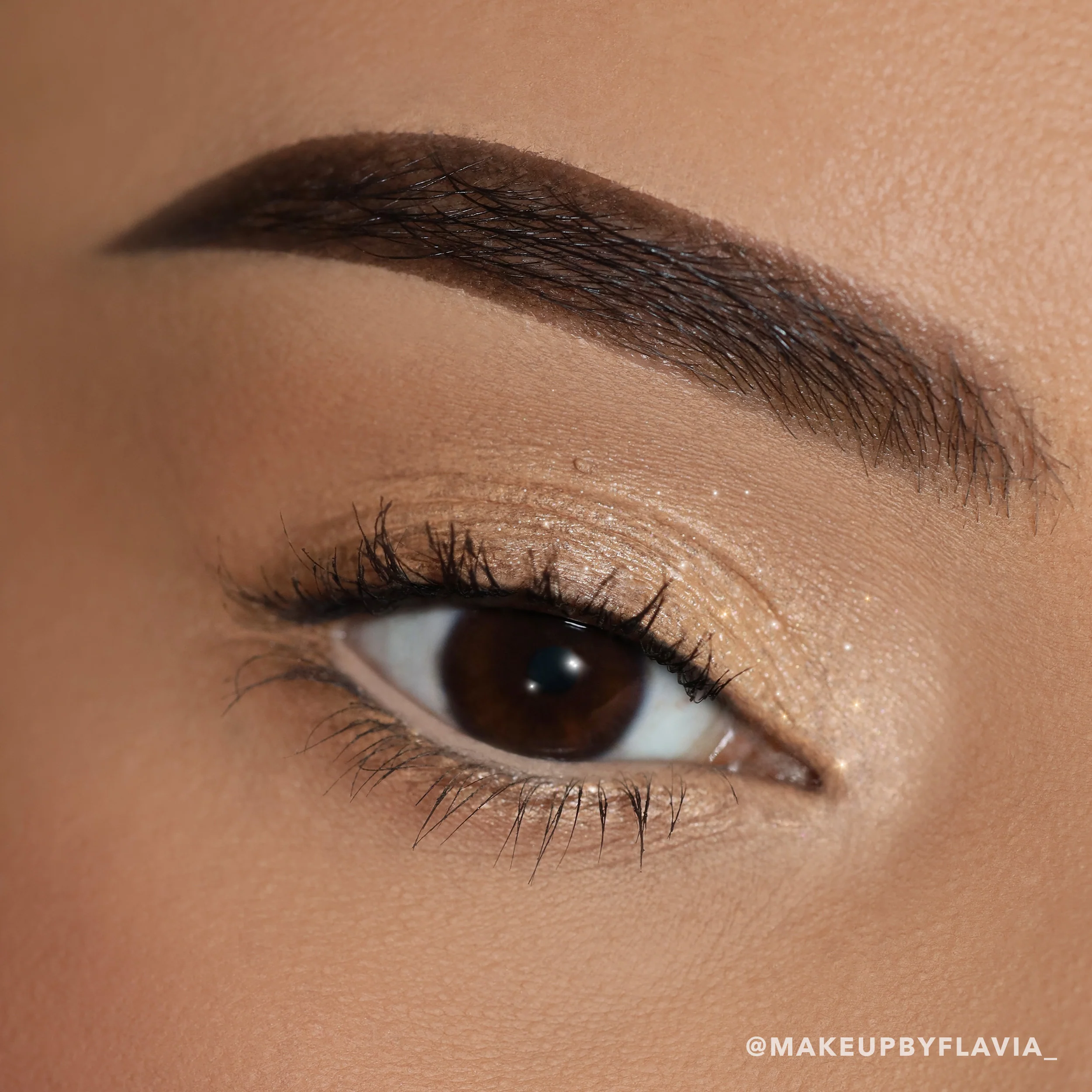 Everlust Shimmer Cream Shadow (002, Champagne Kiss)