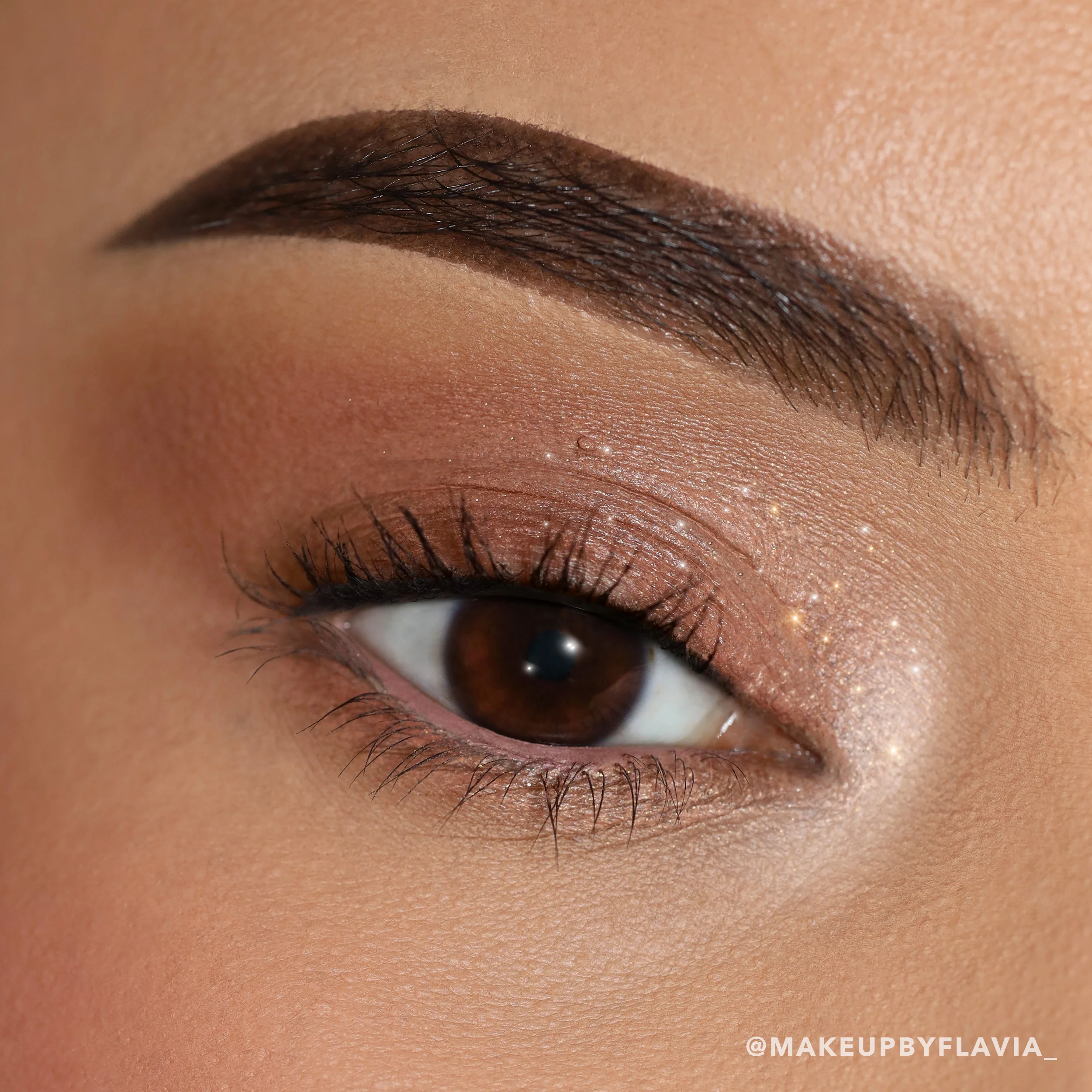 Everlust Shimmer Cream Shadow (004, Melrose)