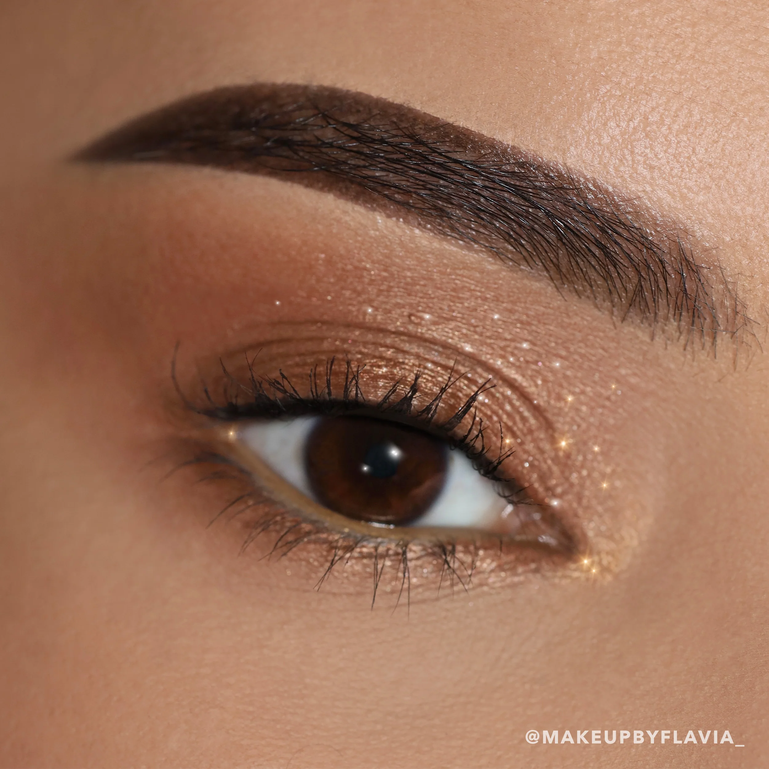 Everlust Shimmer Cream Shadow (006, Copper)