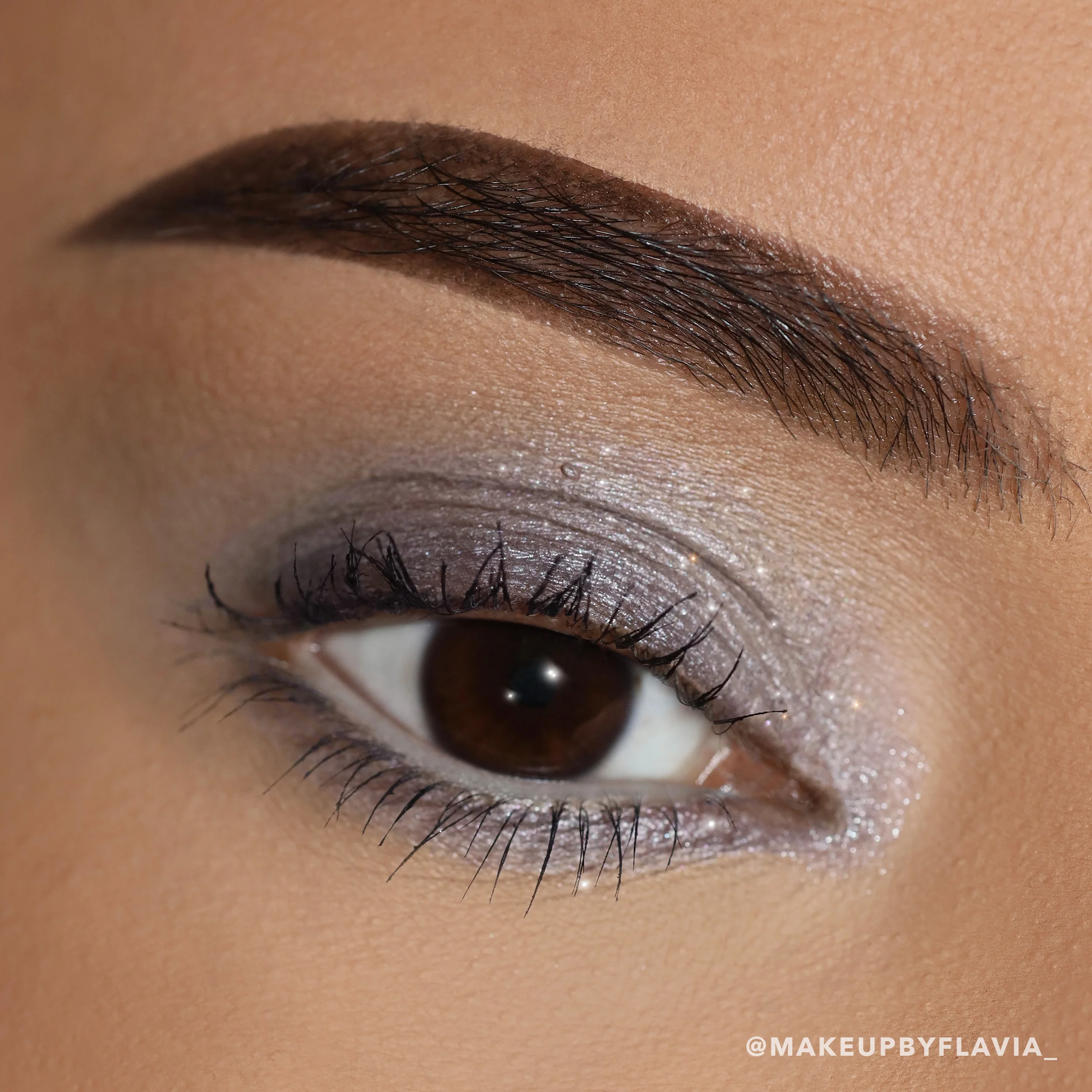 Everlust Shimmer Cream Shadow (009, Silver Lining)