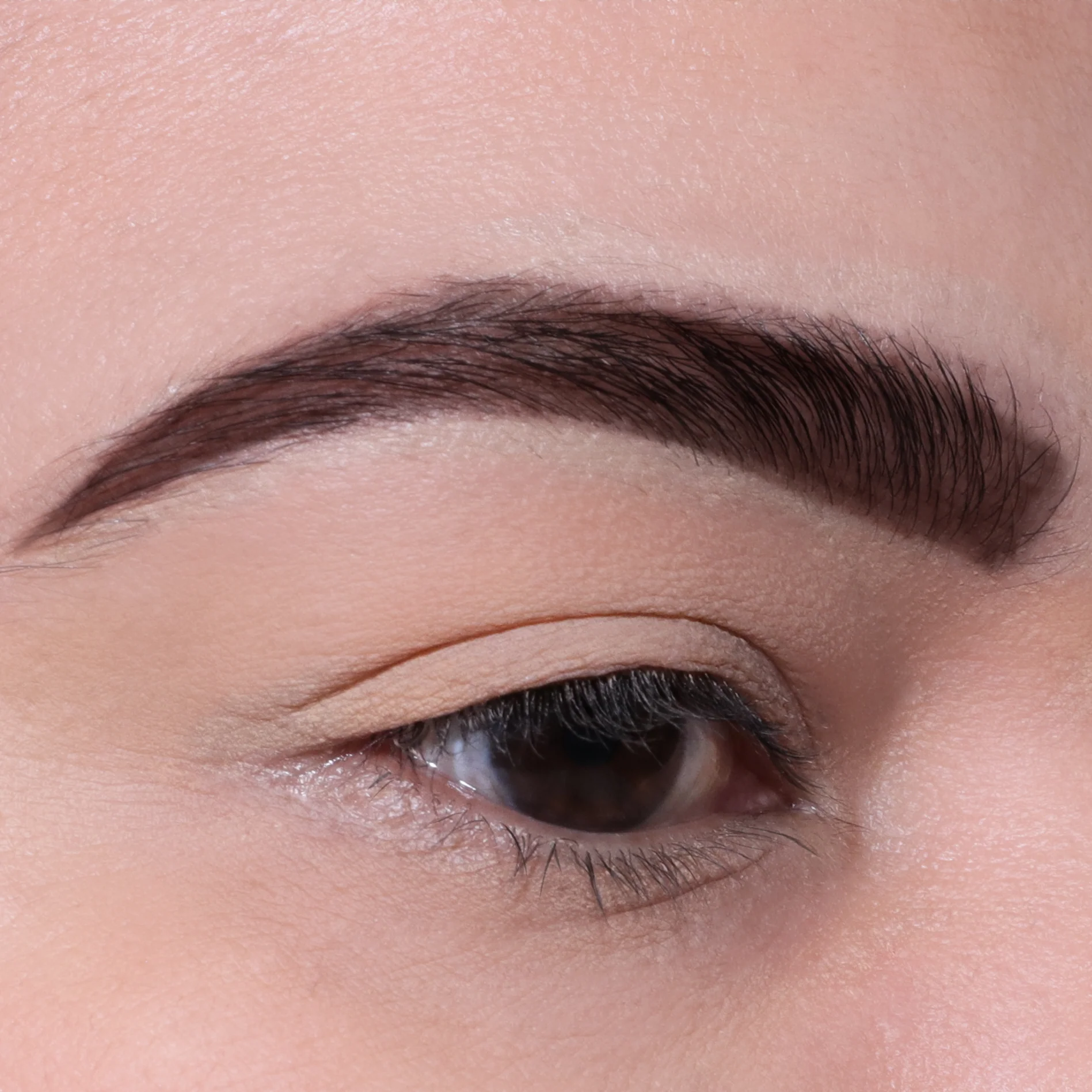 Brow Defying Gel (003, Chocolate)