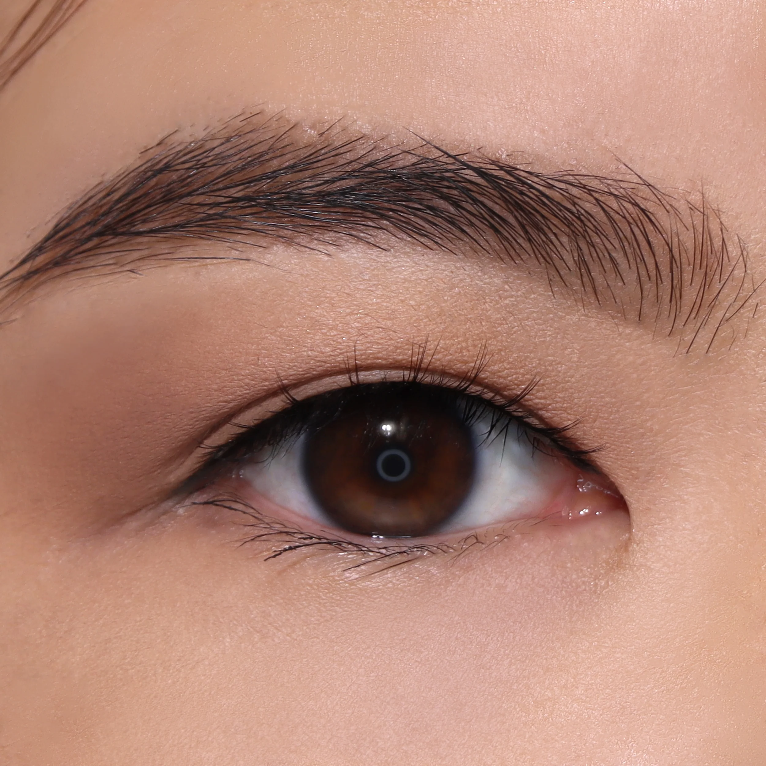 Natural Effect Bionic Vegan Faux Lashes (003, Harmony)